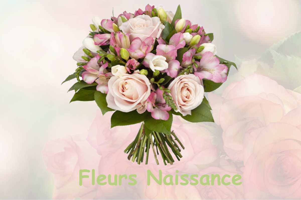 fleurs naissance MESBRECOURT-RICHECOURT