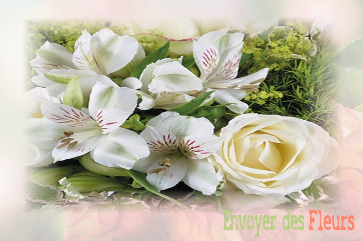 envoyer des fleurs à à MESBRECOURT-RICHECOURT